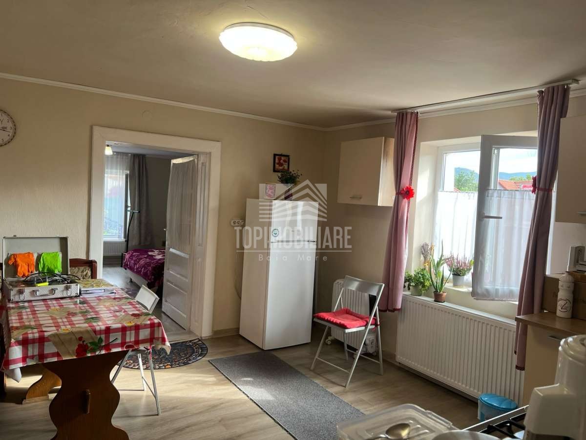 Seini – Casa + 5,59 ari de teren
