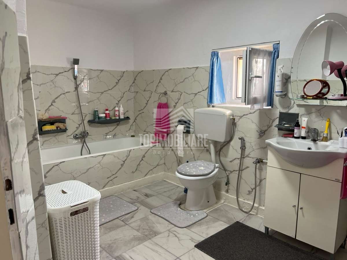 Seini – Casa + 5,59 ari de teren