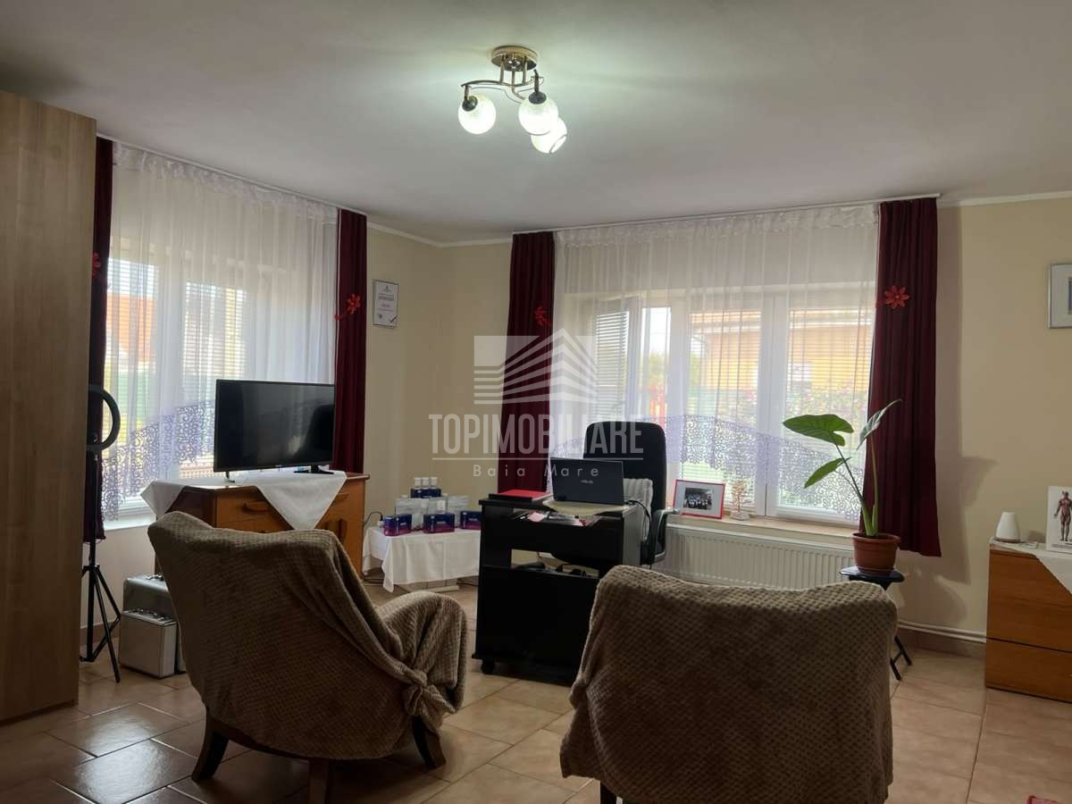 Seini – Casa + 5,59 ari de teren