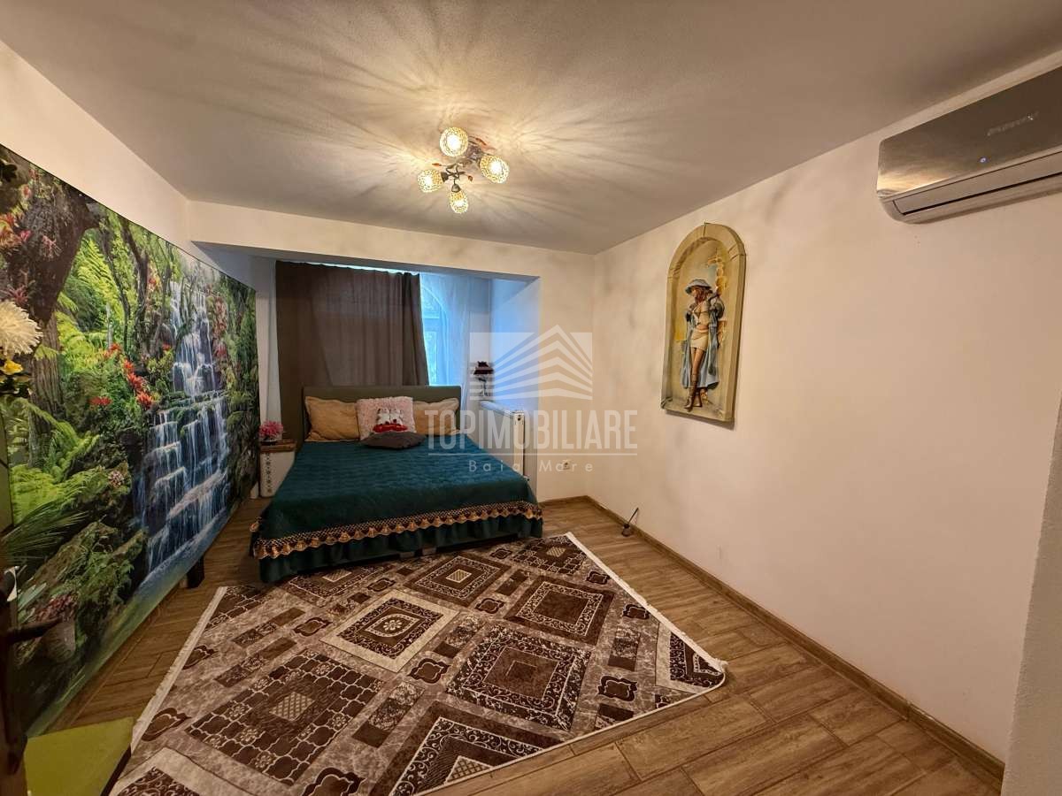 Tăuții de Sus – Spațiu comercial + Casă de locuit, 41,35 ari de teren